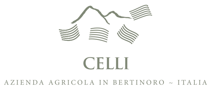 CELLI-NEW LOGO_page-0001